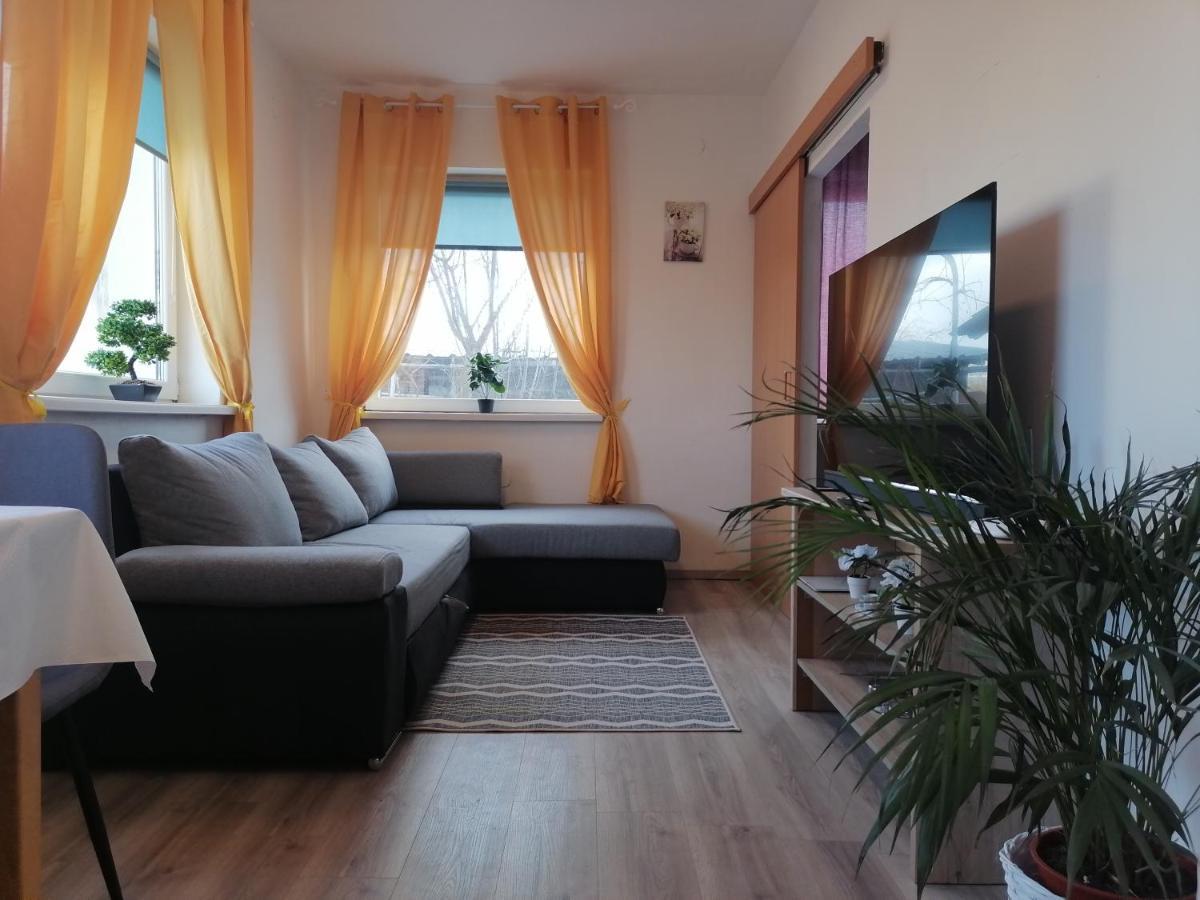 Apartments Zupan Sencur Exterior foto