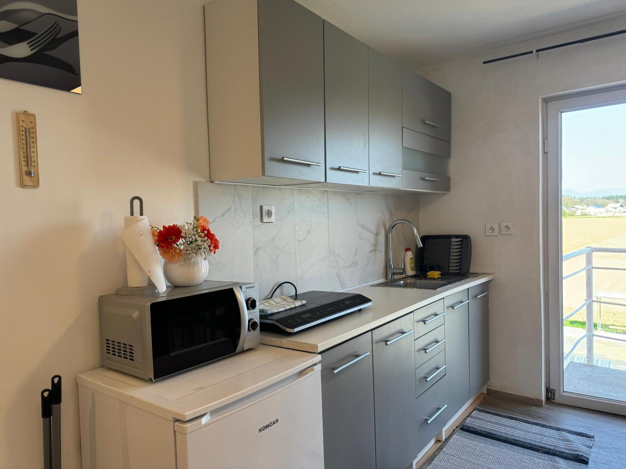 Apartments Zupan Sencur Exterior foto